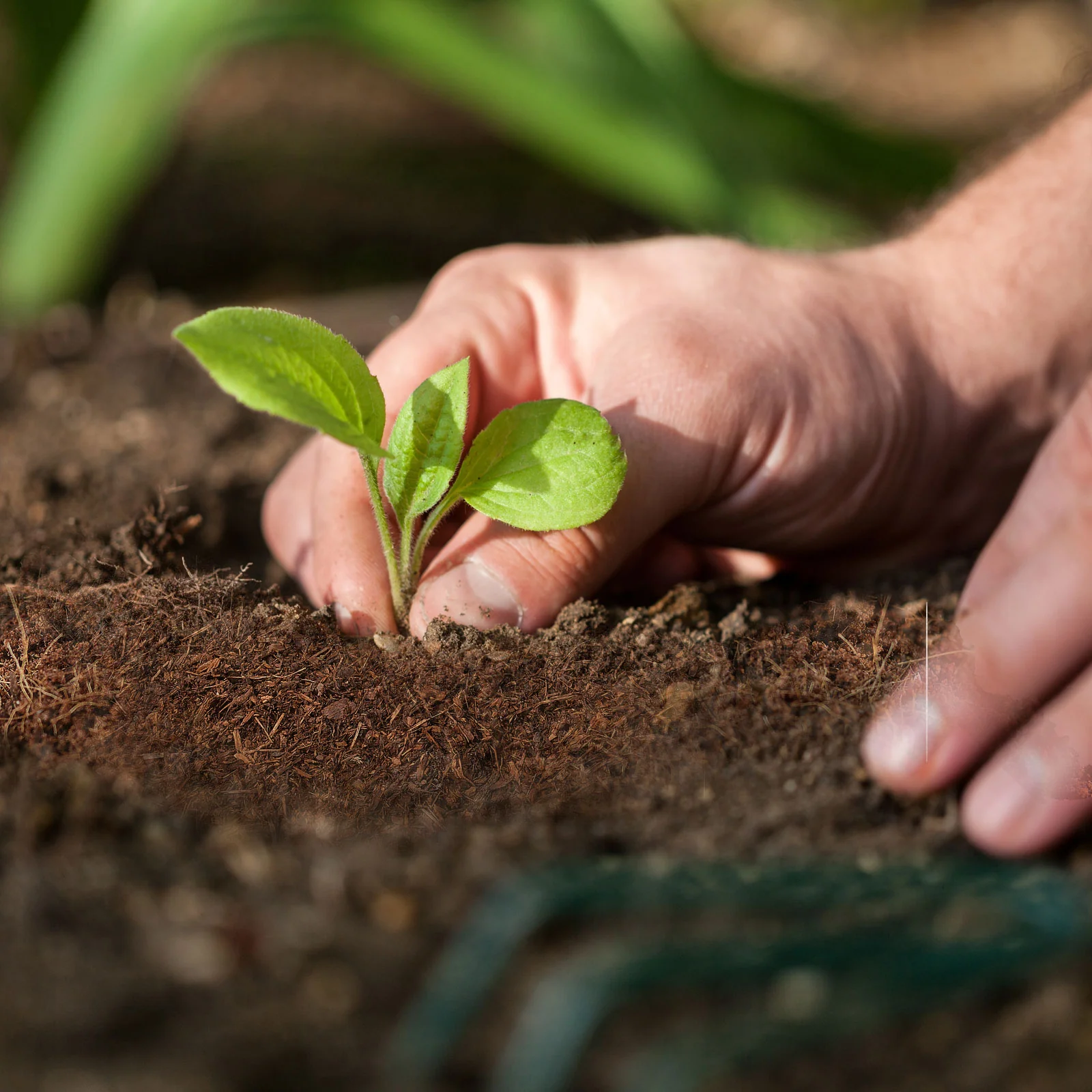 Productafbeelding 6